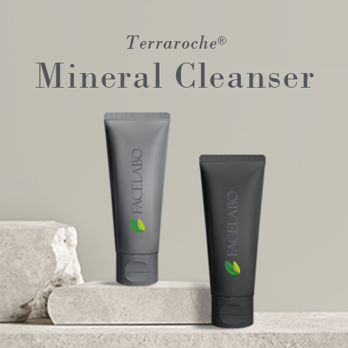 Terraroche Mineral Cleanser