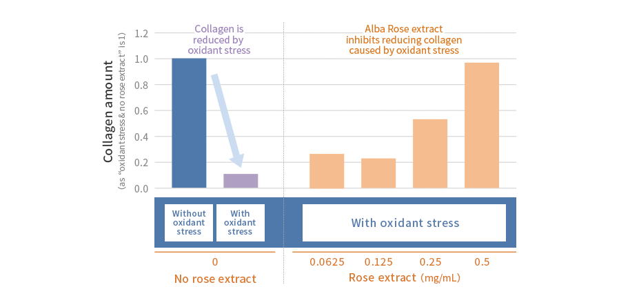 Inhibition effect of collagen degradation by oxidant stress